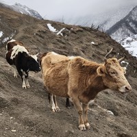 Фото отзыва 7: экскурсия ""