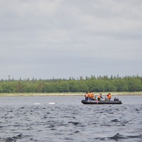 Фотография путешественника