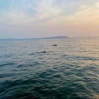 Фото отзыва 3: экскурсия ""