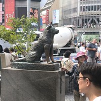 Фото отзыва 5: экскурсия "Первый день в&nbsp;Токио: обзорная экскурсия с&nbsp;фотосессией"