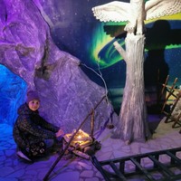Фото отзыва 3: экскурсия "Олени и&nbsp;хаски: в&nbsp;гостях у&nbsp;Талви Укко"