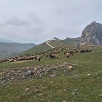 Фото отзыва 4: экскурсия ""