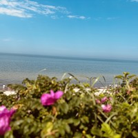 Фото отзыва 1: экскурсия "Из Светлогорска — на Куршскую косу и в Зеленоградск"