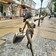 Фото отзыва 1: экскурсия "Балтийская сказка: Куршская коса, Зеленоградск и рыцарские замки"