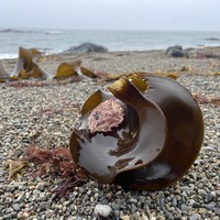 Фото отзыва 1: экскурсия ""