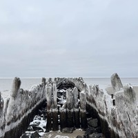 Фото отзыва 6: экскурсия ""