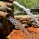 Фото отзыва 4: экскурсия "Нетипичный Эльбрус из Минвод: водопады, дикие ущелья и снежные хребты"