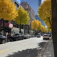 Фото отзыва 1: экскурсия ""