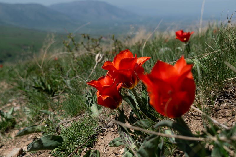 Фото 3