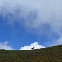 Фото отзыва 4: экскурсия ""