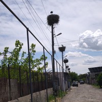 Фото отзыва 7: экскурсия ""
