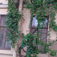Фото отзыва 5: экскурсия ""