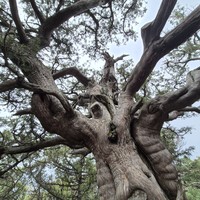 Фото отзыва 6: экскурсия ""