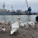 Самуил