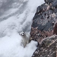 Фото отзыва 8: экскурсия ""