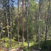 Фото отзыва 7: экскурсия ""