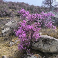 Фото отзыва 1: экскурсия ""