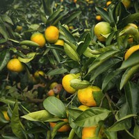 Фото отзыва 4: экскурсия ""