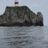 Фото отзыва 3: экскурсия ""