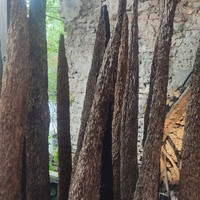 Фото отзыва 2: экскурсия ""