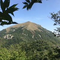 Фото отзыва 4: экскурсия ""