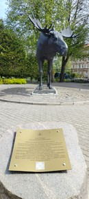 Фото отзыва 5: экскурсия "Советск и Неман: Тильзит, Рагнит и истории старой Пруссии"