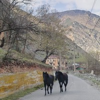 Фото отзыва 2: экскурсия ""