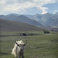 Фото отзыва 1: экскурсия ""