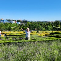 Фото отзыва 3: экскурсия "Парк Галицкого: где ты паришь, даже не взлетая"