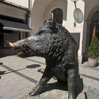Фото отзыва 2: экскурсия ""
