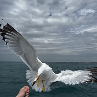 Фото отзыва 2: экскурсия "Морская рыбалка в Анапе"