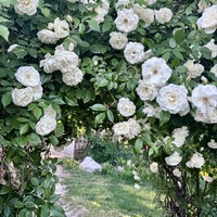 Фото отзыва 4: экскурсия ""