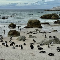 Фото отзыва 6: экскурсия ""