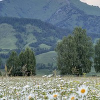 Фото отзыва 3: экскурсия ""