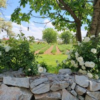 Фото отзыва 1: экскурсия ""