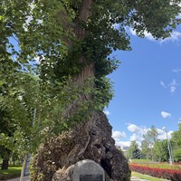 Фото отзыва 8: экскурсия ""