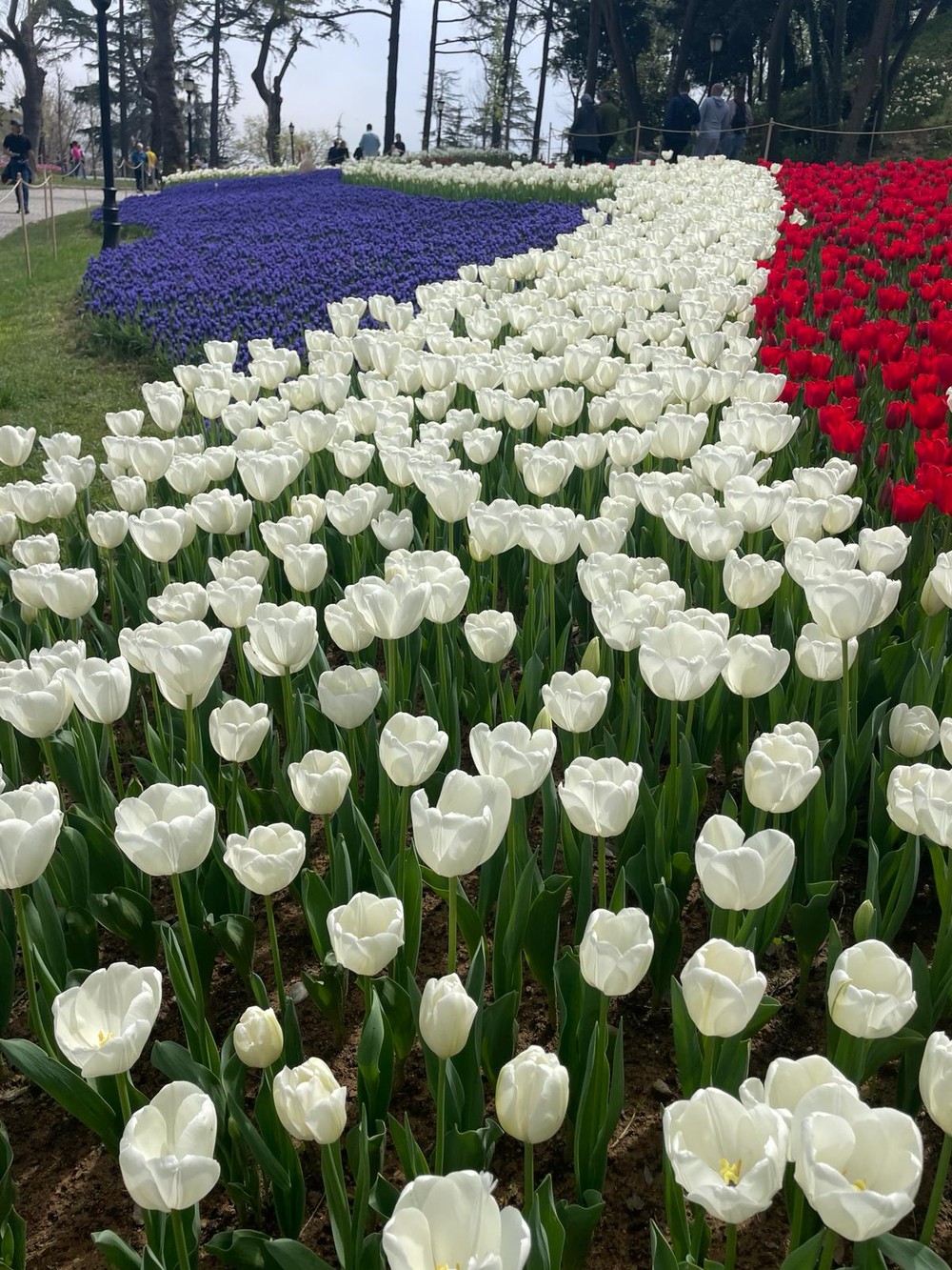 Фото 2