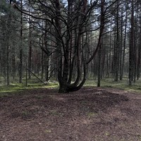Фото отзыва 2: экскурсия ""
