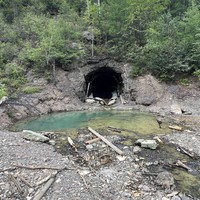 Фото отзыва 5: экскурсия ""