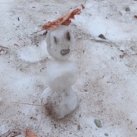 Фото отзыва 1: экскурсия ""