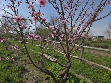 Фото отзыва 7: экскурсия ""