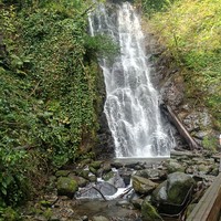 Фото отзыва 8: экскурсия ""
