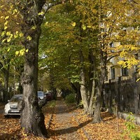 Фото отзыва 8: экскурсия ""