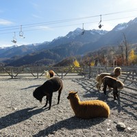 Фото отзыва 2: экскурсия ""