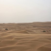Фото отзыва 5: экскурсия ""