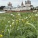 Фото отзыва 5: экскурсия "Добро пожаловать в Юрьев-Польский!"