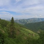 Роман
