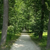 Фото отзыва 8: экскурсия ""