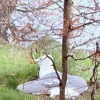 Фотография путешественника