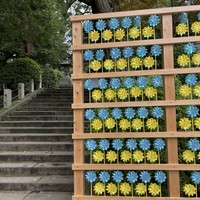 Фото отзыва 7: экскурсия ""